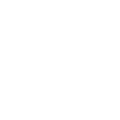 CEA logo