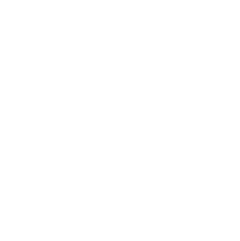 Halyard logo