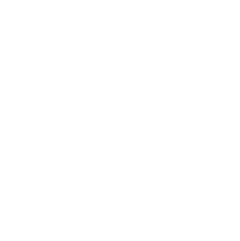 IronNet logo