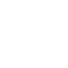 JPMorgan Chase & Co logo