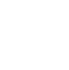 Lenovo logo