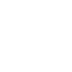 Perkin Elmer logo