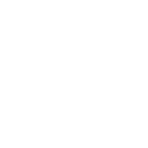 SecureWorks logo
