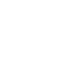 The Standard logo