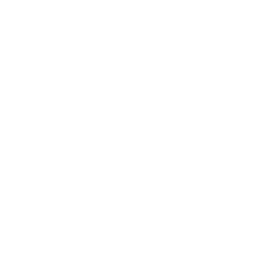 Travel Leaders Network logo