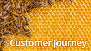 A photo of bees on a honeycomb nest to represent the theme "Behind the Buzzwords" for Customer Journey