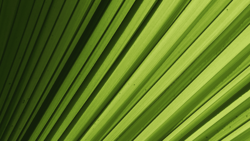Why You Need to Think Like a Chief Growth Officer