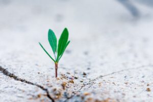 Next Generation Growth Marketing: The Evolution Towards Strategic Demand